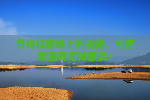 寻找绿茵场上的战袍，维西哪里有足球服卖？