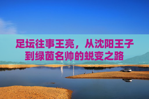 足坛往事王亮，从沈阳王子到绿茵名帅的蜕变之路