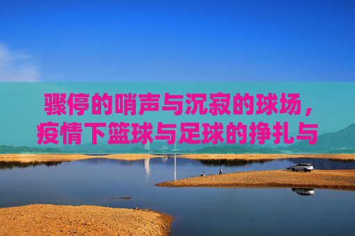 骤停的哨声与沉寂的球场，疫情下篮球与足球的挣扎与重生
