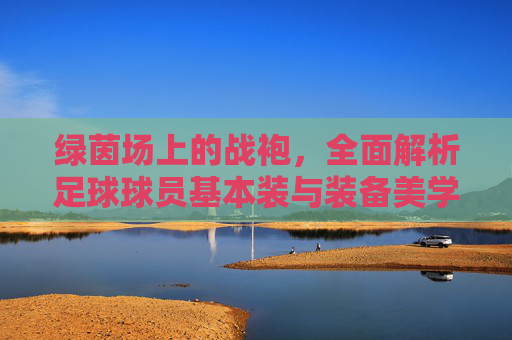 绿茵场上的战袍，全面解析足球球员基本装与装备美学