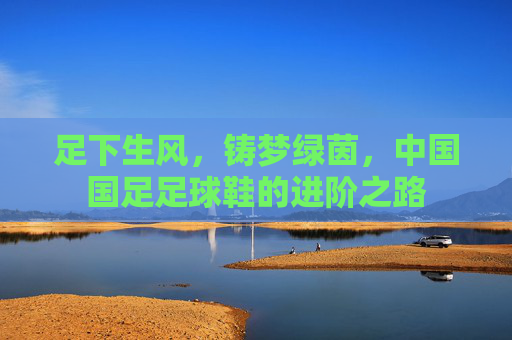 足下生风，铸梦绿茵，中国国足足球鞋的进阶之路