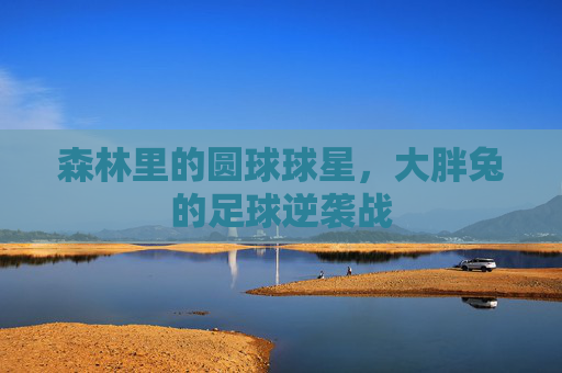 森林里的圆球球星，大胖兔的足球逆袭战