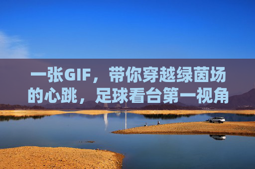 一张GIF，带你穿越绿茵场的心跳，足球看台第一视角里的热血与深情