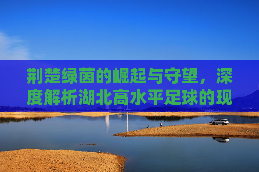 荆楚绿茵的崛起与守望，深度解析湖北高水平足球的现状与未来