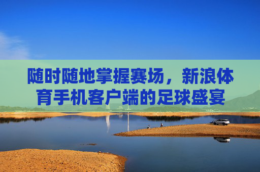 随时随地掌握赛场，新浪体育手机客户端的足球盛宴