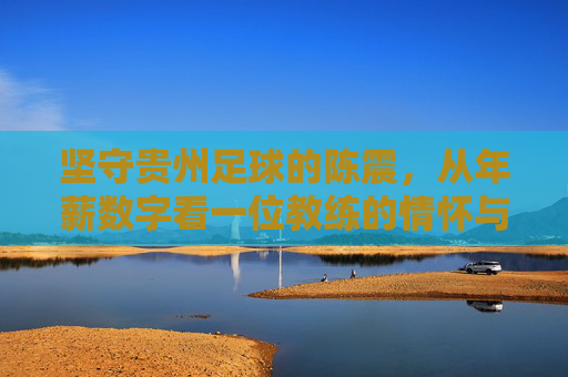 坚守贵州足球的陈震，从年薪数字看一位教练的情怀与担当