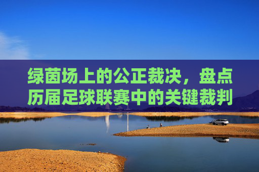 绿茵场上的公正裁决，盘点历届足球联赛中的关键裁判名单