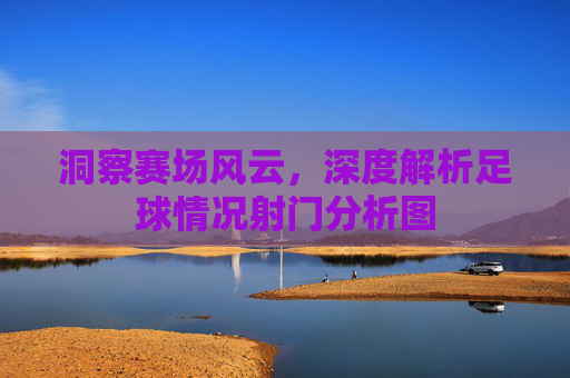 洞察赛场风云，深度解析足球情况射门分析图