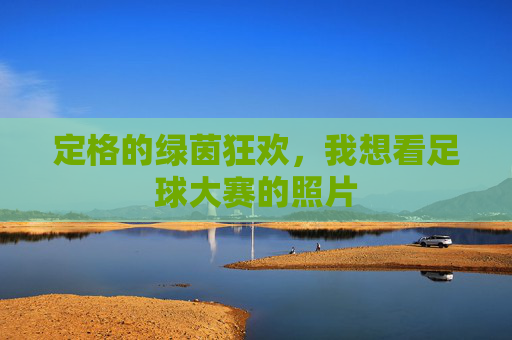 定格的绿茵狂欢，我想看足球大赛的照片