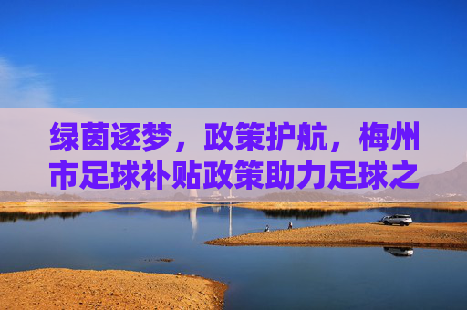 绿茵逐梦，政策护航，梅州市足球补贴政策助力足球之乡再创辉煌