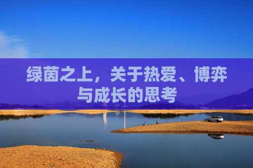 绿茵之上，关于热爱、博弈与成长的思考