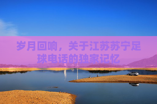 岁月回响，关于江苏苏宁足球电话的独家记忆