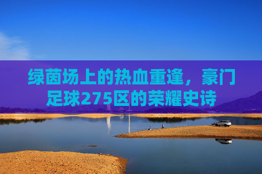 绿茵场上的热血重逢，豪门足球275区的荣耀史诗