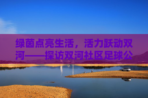 绿茵点亮生活，活力跃动双河——探访双河社区足球公园