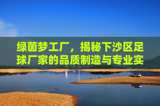 绿茵梦工厂，揭秘下沙区足球厂家的品质制造与专业实力