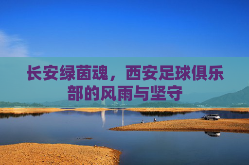 长安绿茵魂，西安足球俱乐部的风雨与坚守
