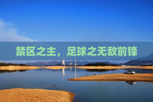 禁区之主，足球之无敌前锋