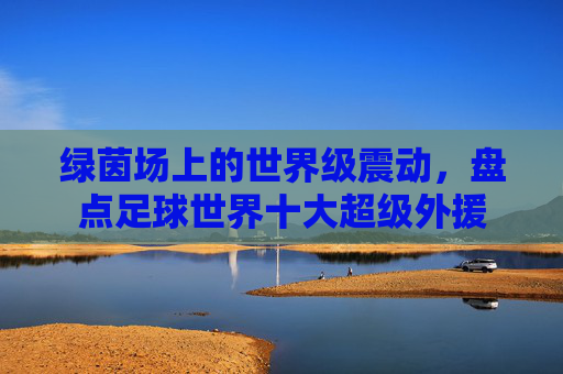 绿茵场上的世界级震动，盘点足球世界十大超级外援