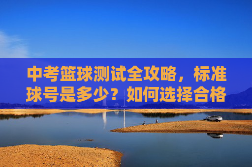 中考篮球测试全攻略，标准球号是多少？如何选择合格的篮球？