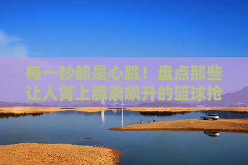 每一秒都是心跳！盘点那些让人肾上腺素飙升的篮球抢断视频