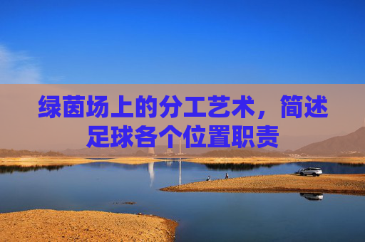绿茵场上的分工艺术，简述足球各个位置职责