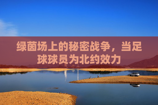 绿茵场上的秘密战争，当足球球员为北约效力