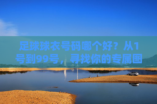 足球球衣号码哪个好？从1号到99号，寻找你的专属图腾
