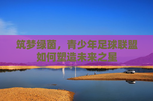 筑梦绿茵,青少年足球联盟如何塑造未来之星