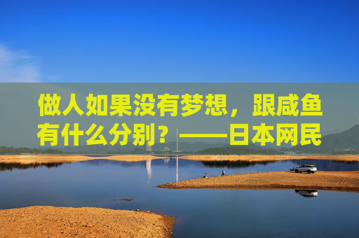 做人如果没有梦想，跟咸鱼有什么分别？——日本网民眼中的少林足球