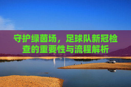 守护绿茵场,足球队新冠检查的重要性与流程解析