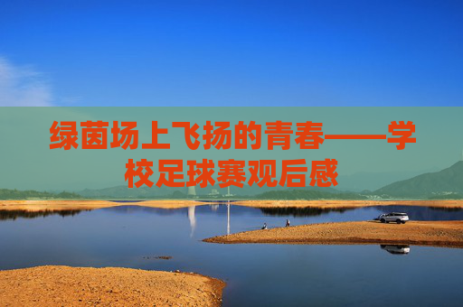 绿茵场上飞扬的青春——学校足球赛观后感