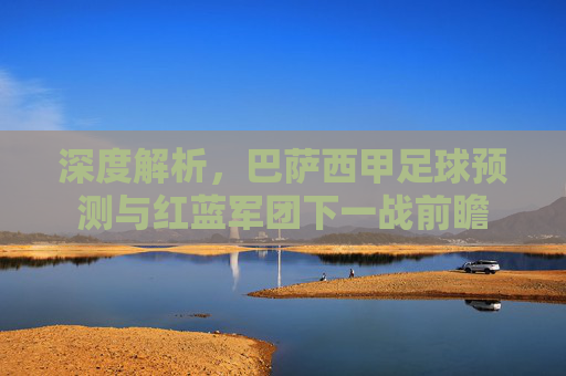 深度解析，巴萨西甲足球预测与红蓝军团下一战前瞻