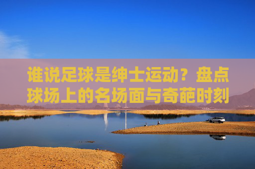 谁说足球是绅士运动?盘点球场上的名场面与奇葩时刻
