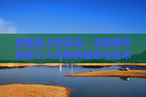 绿茵场上的灵动，深度解析足球个人技能的展现与战术价值