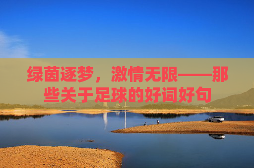 绿茵逐梦，激情无限——那些关于足球的好词好句