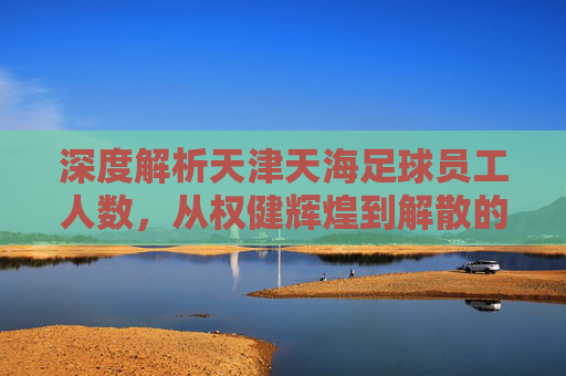 深度解析天津天海足球员工人数,从权健辉煌到解散的缩影