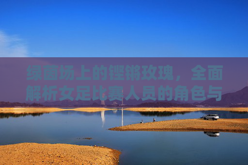 绿茵场上的铿锵玫瑰，全面解析女足比赛人员的角色与职责