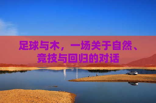 足球与木，一场关于自然、竞技与回归的对话