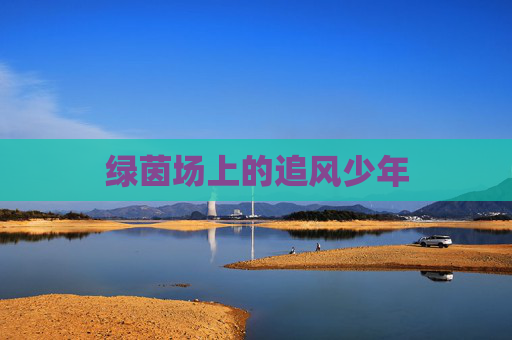 绿茵场上的追风少年