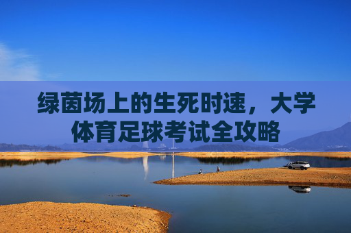 绿茵场上的生死时速,大学体育足球考试全攻略