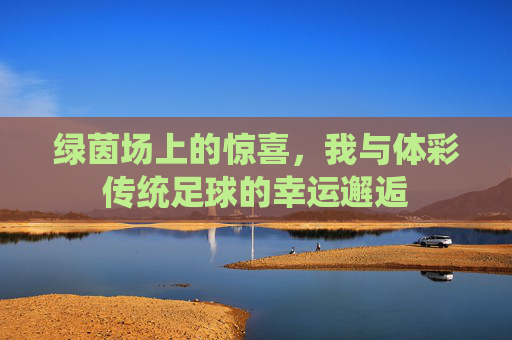 绿茵场上的惊喜,我与体彩传统足球的幸运邂逅