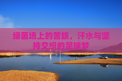 绿茵场上的苦旅,汗水与坚持交织的足球梦