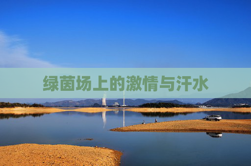 绿茵场上的激情与汗水