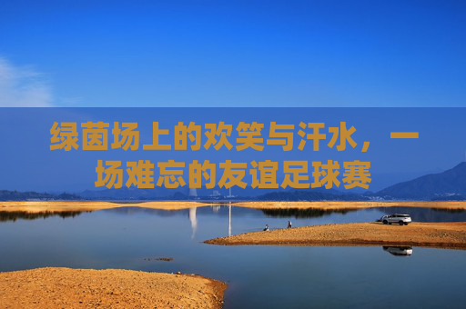 绿茵场上的欢笑与汗水,一场难忘的友谊足球赛