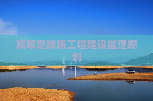 真草足球场工程建设监理规划