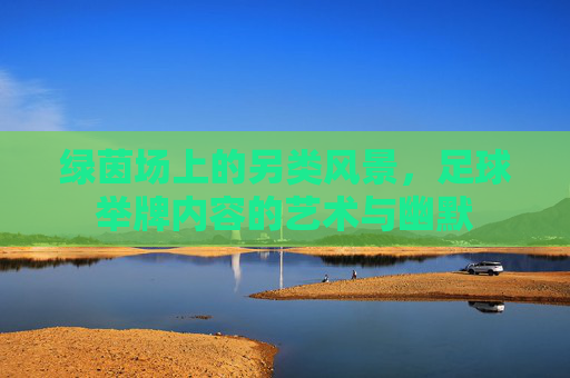 绿茵场上的另类风景，足球举牌内容的艺术与幽默