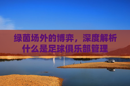 绿茵场外的博弈，深度解析什么是足球俱乐部管理