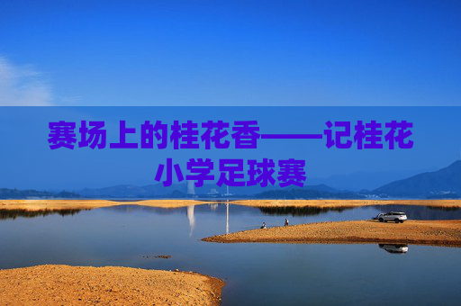 赛场上的桂花香——记桂花小学足球赛