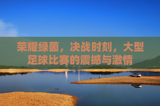 荣耀绿茵，决战时刻，大型足球比赛的震撼与激情