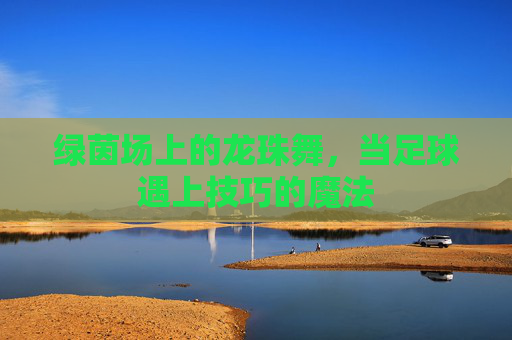 绿茵场上的龙珠舞，当足球遇上技巧的魔法